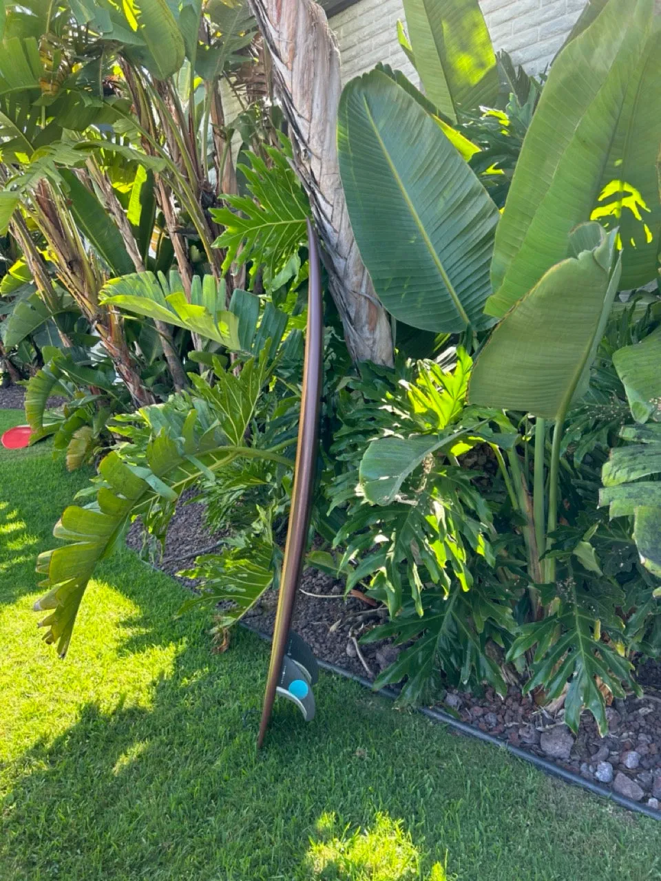 5'10" Timmy Patterson Pumpkin Seed (used)