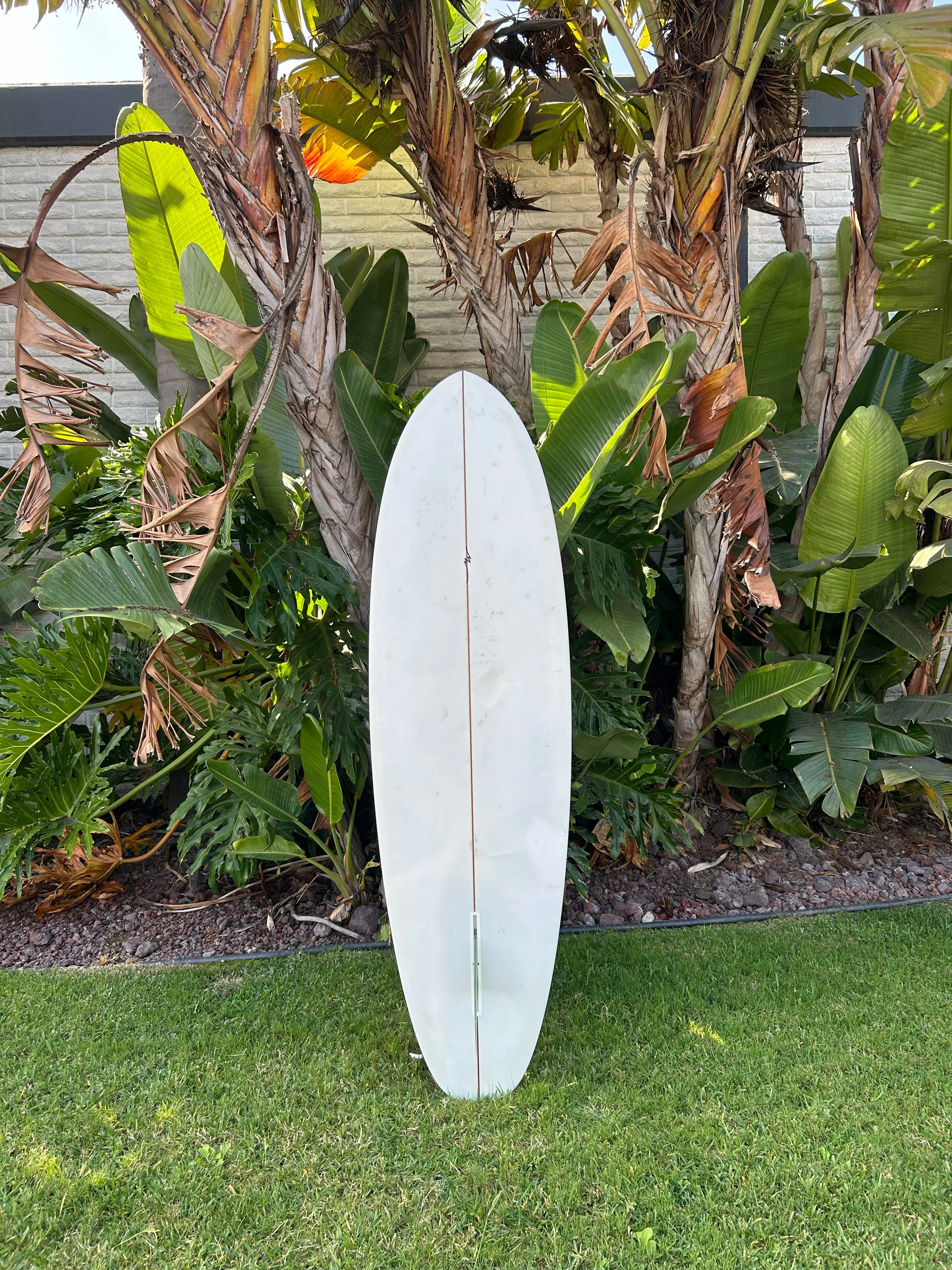 6’ 6" Mas Wavos Hull (Used)