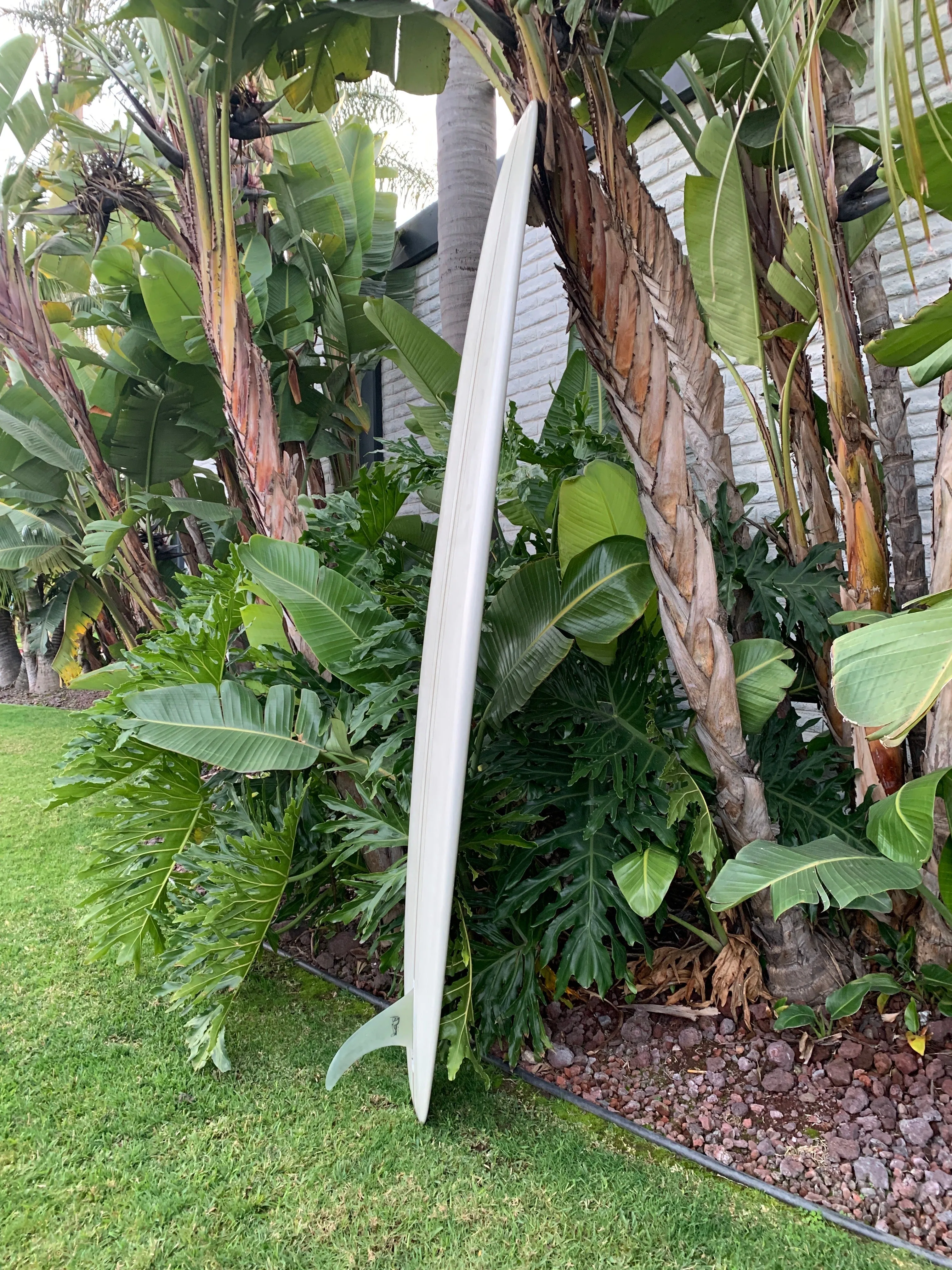 9'4" Grant Noble Wilbur (Used)