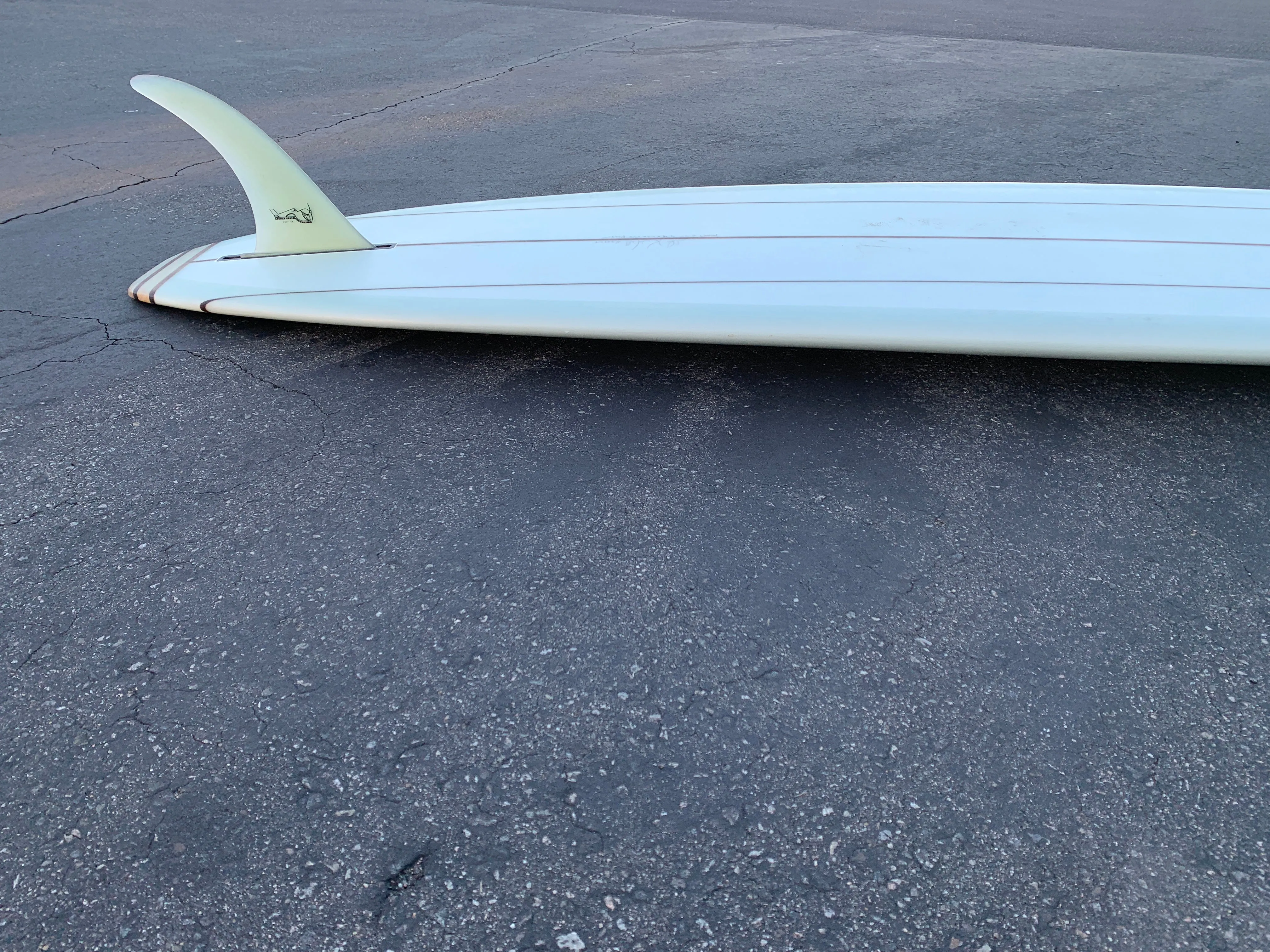 9'4" Kris Hall Pigpen (Used)