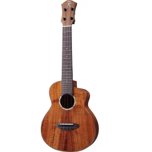 aNueNue Koa Bird Concert Ukulele UC1K