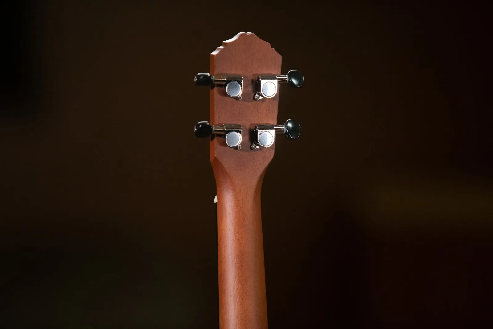 Bonfire Series Baritone Ukulele Spruce / Sapele Natural Acoustic / Electric