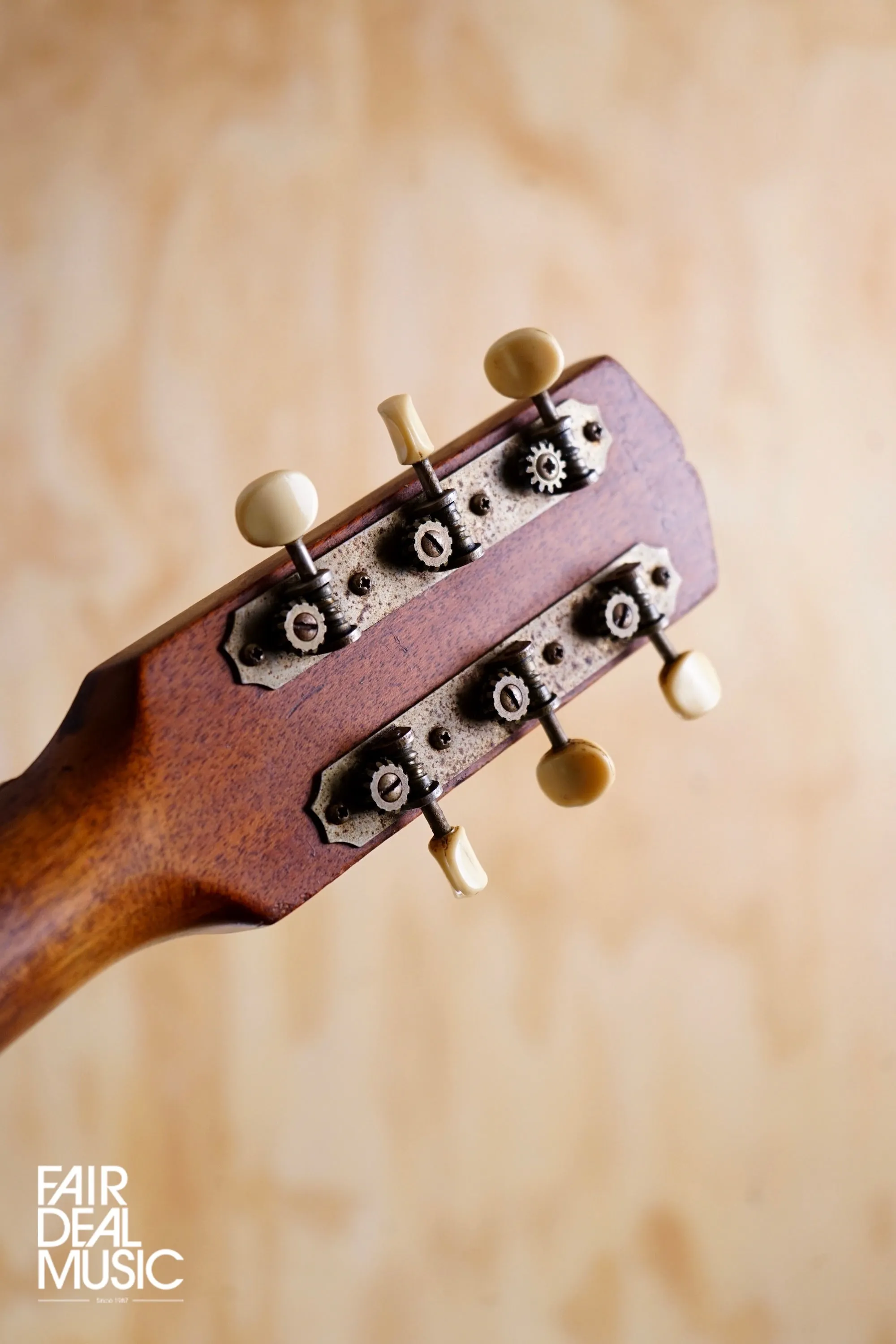 Gibson B15 Acoustic 1967, USED