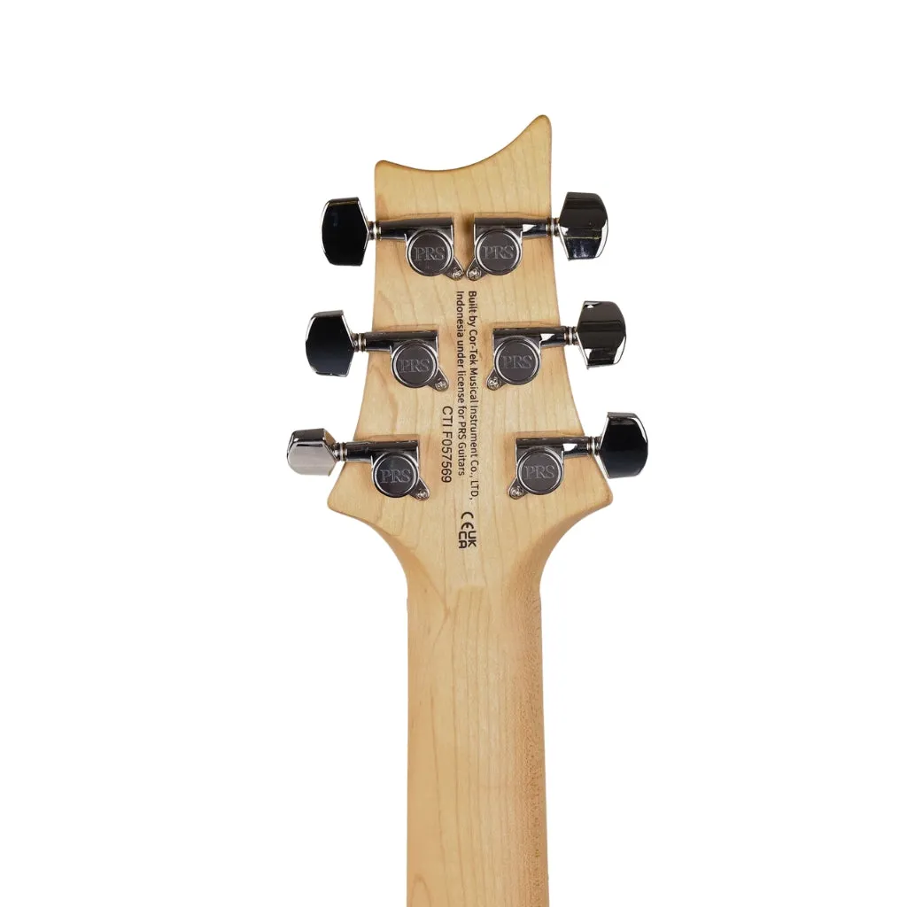 PRS SE Swamp Ash Special - Iri Blue