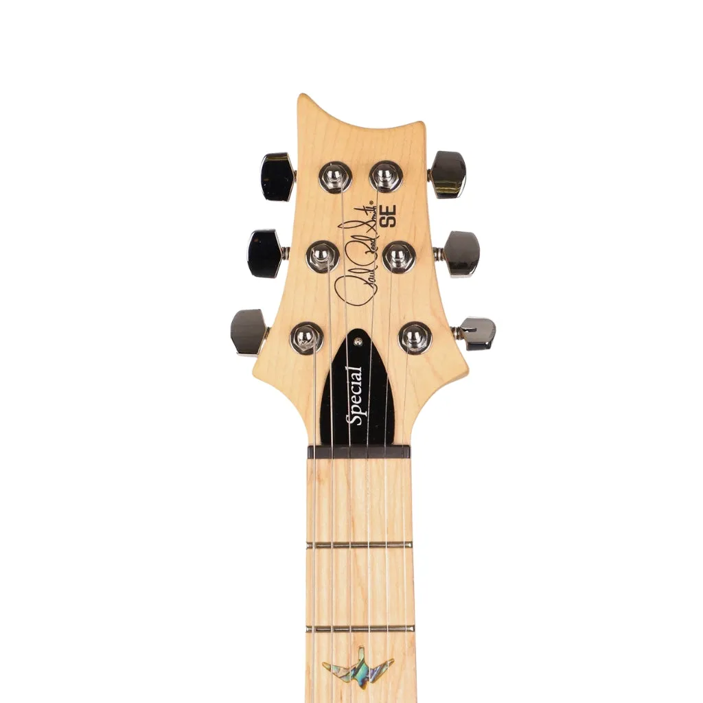 PRS SE Swamp Ash Special - Iri Blue